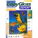 Papel Copygloss Report 120 grs